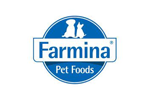 logo4
